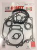 Predator 420cc engine Engine gasket set 