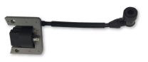 Predator  173CC ignition coil